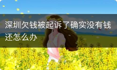 深圳欠钱被起诉了确实没有钱还怎么办