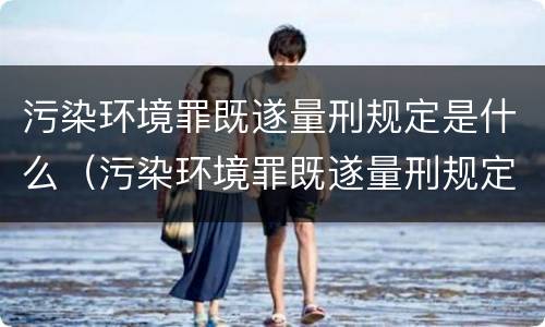 污染环境罪既遂量刑规定是什么（污染环境罪既遂量刑规定是什么标准）