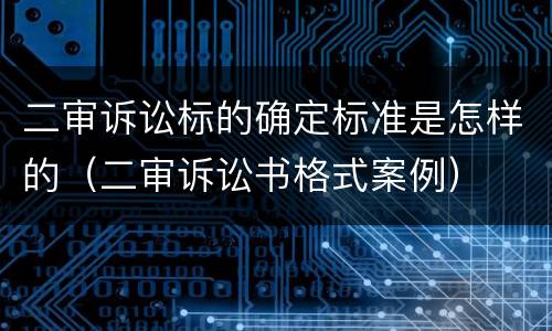 二审诉讼标的确定标准是怎样的（二审诉讼书格式案例）