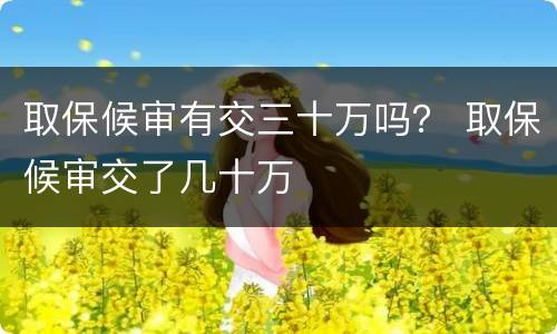 取保候审有交三十万吗？ 取保候审交了几十万