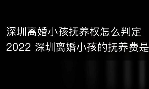 深圳离婚小孩抚养权怎么判定2022 深圳离婚小孩的抚养费是多少