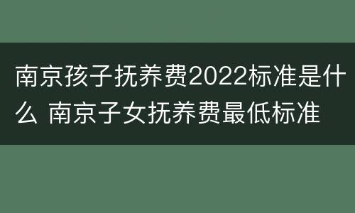 南京孩子抚养费2022标准是什么 南京子女抚养费最低标准