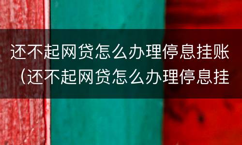 还不起网贷怎么办理停息挂账（还不起网贷怎么办理停息挂账手续）