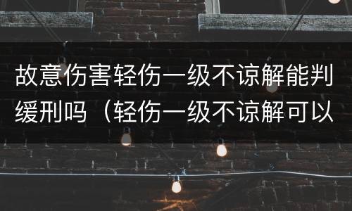 故意伤害轻伤一级不谅解能判缓刑吗（轻伤一级不谅解可以判缓刑吗）
