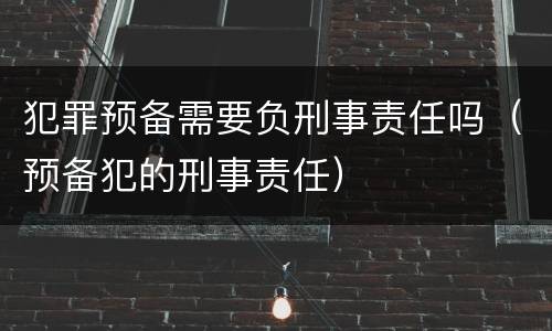 犯罪预备需要负刑事责任吗（预备犯的刑事责任）