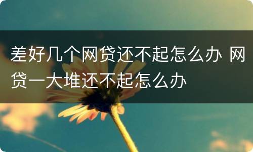 差好几个网贷还不起怎么办 网贷一大堆还不起怎么办