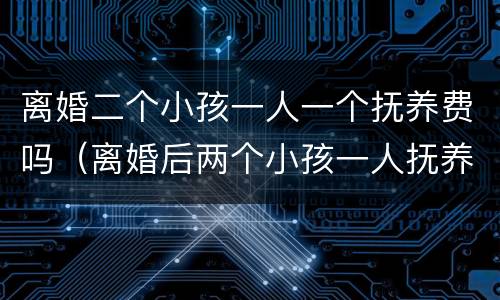离婚二个小孩一人一个抚养费吗（离婚后两个小孩一人抚养一个费用如何承担）
