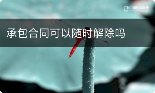 承包合同可以随时解除吗