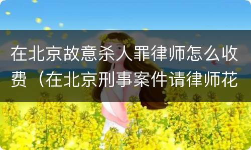 在北京故意杀人罪律师怎么收费（在北京刑事案件请律师花多少钱）