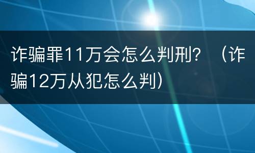 诈骗罪11万会怎么判刑？（诈骗12万从犯怎么判）