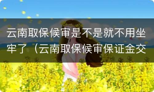 云南取保候审是不是就不用坐牢了（云南取保候审保证金交多少）