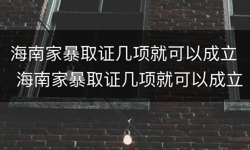 海南家暴取证几项就可以成立 海南家暴取证几项就可以成立公司了