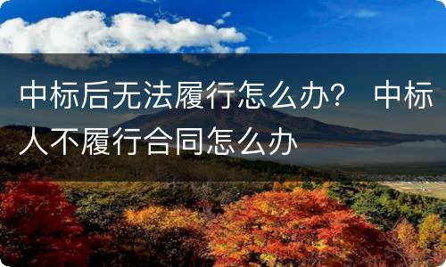 中标后无法履行怎么办？ 中标人不履行合同怎么办