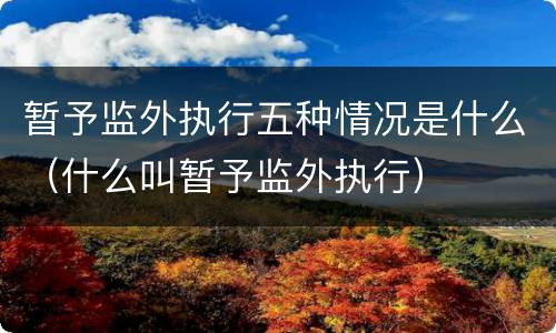 暂予监外执行五种情况是什么（什么叫暂予监外执行）