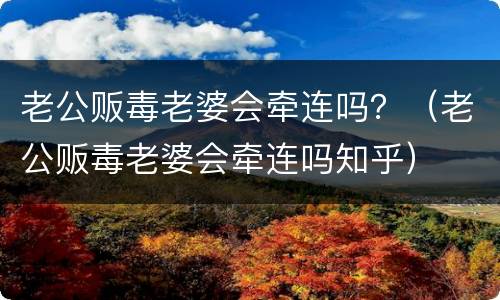 老公贩毒老婆会牵连吗？（老公贩毒老婆会牵连吗知乎）