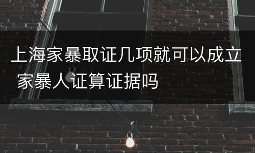 上海家暴取证几项就可以成立 家暴人证算证据吗