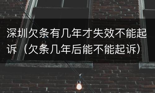 深圳欠条有几年才失效不能起诉（欠条几年后能不能起诉）