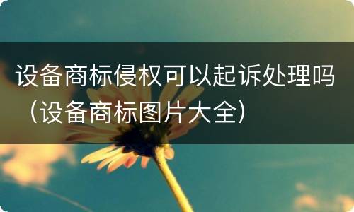 设备商标侵权可以起诉处理吗（设备商标图片大全）