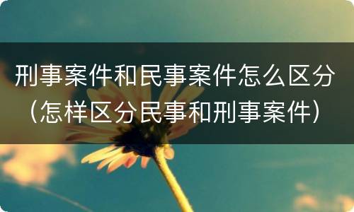 刑事案件和民事案件怎么区分（怎样区分民事和刑事案件）