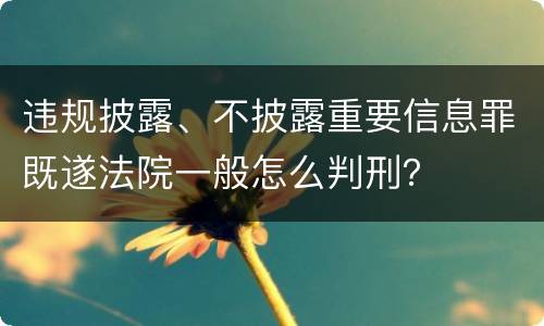 违规披露、不披露重要信息罪既遂法院一般怎么判刑？