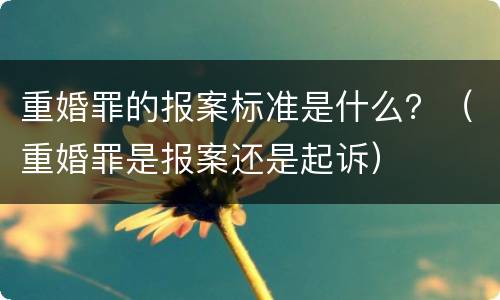 重婚罪的报案标准是什么？（重婚罪是报案还是起诉）