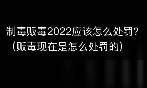 制毒贩毒2022应该怎么处罚？（贩毒现在是怎么处罚的）