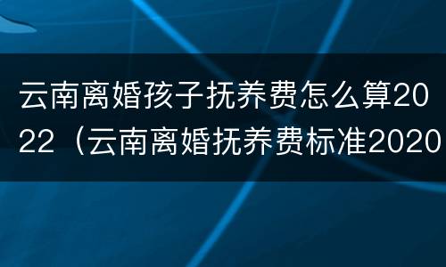 云南离婚孩子抚养费怎么算2022（云南离婚抚养费标准2020）