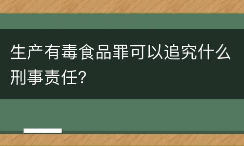 生产有毒食品罪可以追究什么刑事责任？