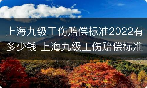 上海九级工伤赔偿标准2022有多少钱 上海九级工伤赔偿标准一览表