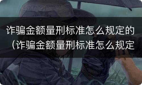 诈骗金额量刑标准怎么规定的（诈骗金额量刑标准怎么规定的啊）