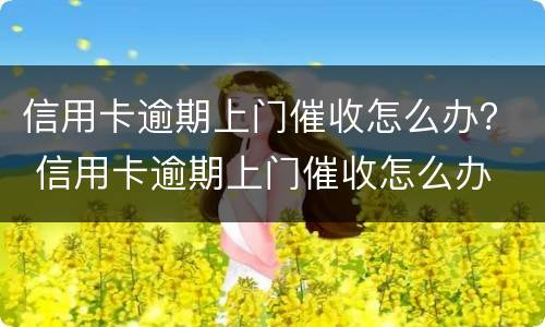 信用卡逾期上门催收怎么办？ 信用卡逾期上门催收怎么办