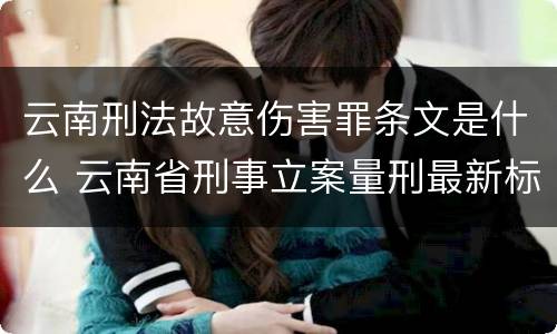 云南刑法故意伤害罪条文是什么 云南省刑事立案量刑最新标准