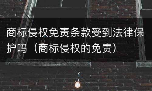 商标侵权免责条款受到法律保护吗（商标侵权的免责）