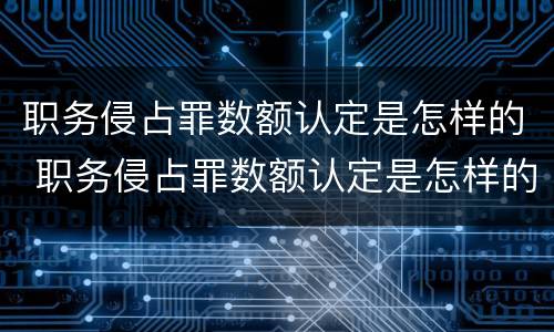 职务侵占罪数额认定是怎样的 职务侵占罪数额认定是怎样的案例