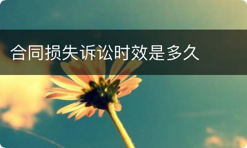 合同损失诉讼时效是多久