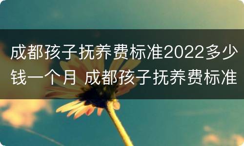 成都孩子抚养费标准2022多少钱一个月 成都孩子抚养费标准是多少