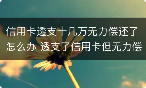 信用卡透支十几万无力偿还了怎么办 透支了信用卡但无力偿还会怎么样