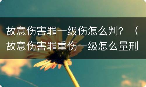 故意伤害罪一级伤怎么判？（故意伤害罪重伤一级怎么量刑）