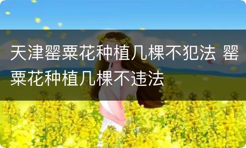 天津罂粟花种植几棵不犯法 罂粟花种植几棵不违法