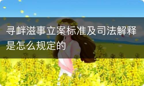 寻衅滋事立案标准及司法解释是怎么规定的
