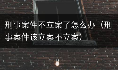 刑事案件不立案了怎么办（刑事案件该立案不立案）
