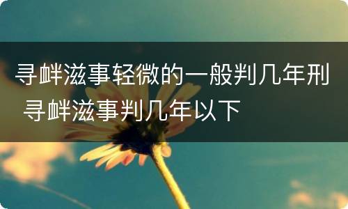寻衅滋事轻微的一般判几年刑 寻衅滋事判几年以下