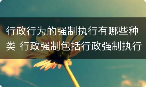 行政行为的强制执行有哪些种类 行政强制包括行政强制执行