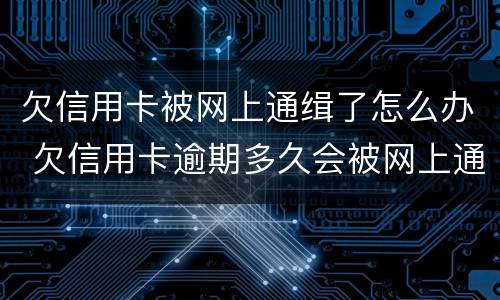 欠信用卡被网上通缉了怎么办 欠信用卡逾期多久会被网上通缉