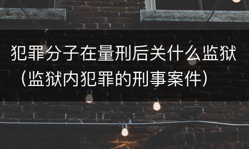 犯罪分子在量刑后关什么监狱（监狱内犯罪的刑事案件）