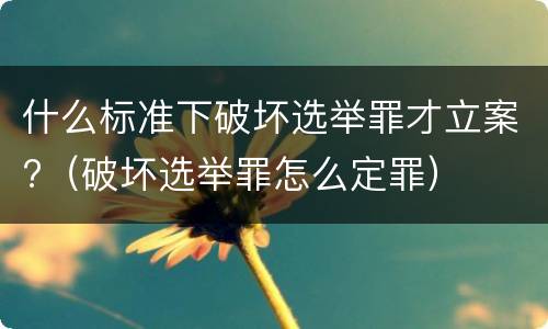 什么标准下破坏选举罪才立案?（破坏选举罪怎么定罪）