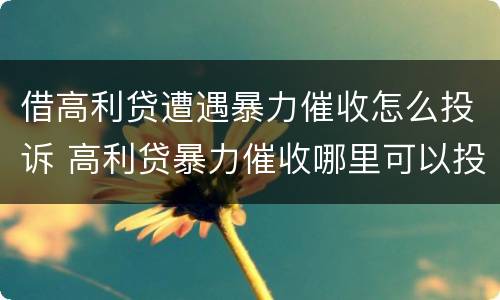 借高利贷遭遇暴力催收怎么投诉 高利贷暴力催收哪里可以投诉