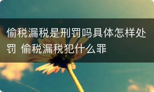 偷税漏税是刑罚吗具体怎样处罚 偷税漏税犯什么罪