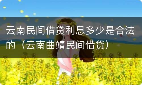 云南民间借贷利息多少是合法的（云南曲靖民间借贷）