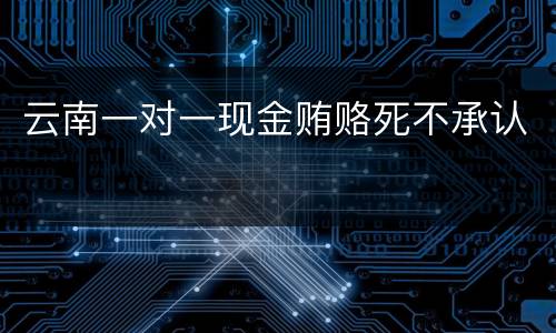云南一对一现金贿赂死不承认